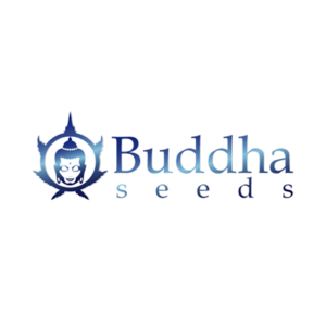 Buddha Seed